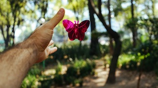 ayurvedische psychoonkologie - krebs ist eine emotionale krankheit